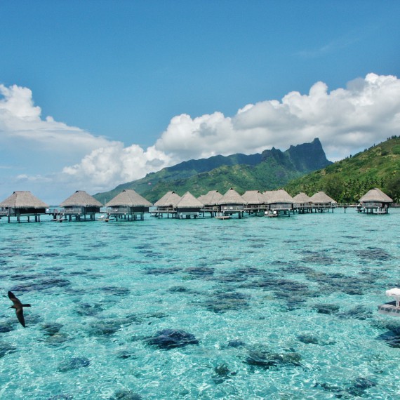 Exotické ostrovy uprostřed Pacifiku