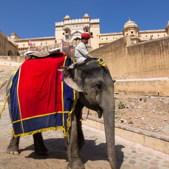 Neuvěřitelná Indie