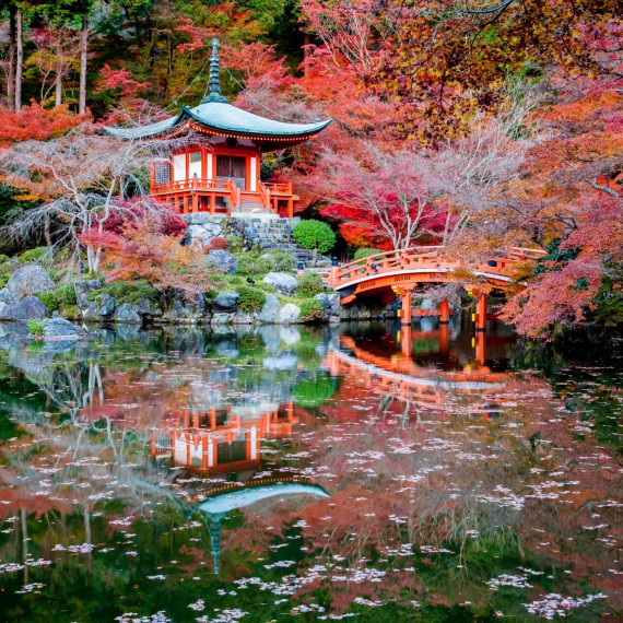 Krásné japonské zahrady pro vás budou velkým zážitkem