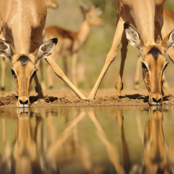 Každodenní život u napajedel 