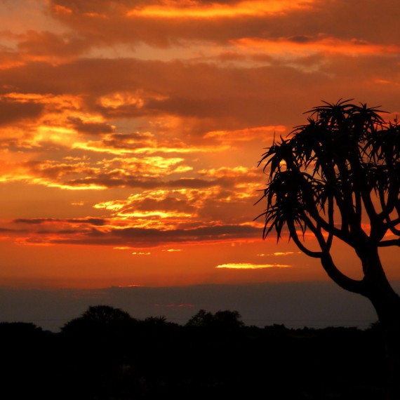Západ slunce na jihu Afriky 