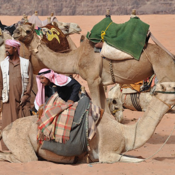 Jízda na velbloudovi v Jordánsku 