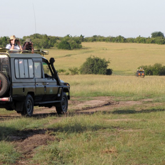 Kvalitní safari pronajatými auty