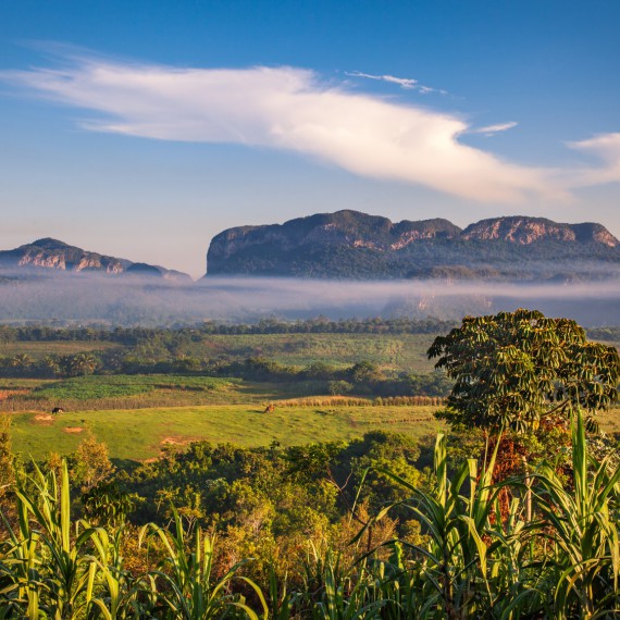 Výhledy na kubánské údolí Vinales