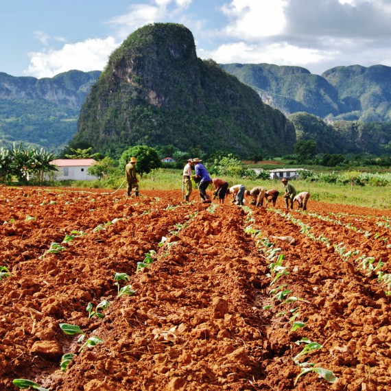 Údolí Vinales na Kubě