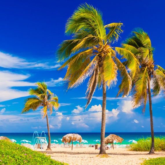 Poslední relax pod palmami a letíme domů