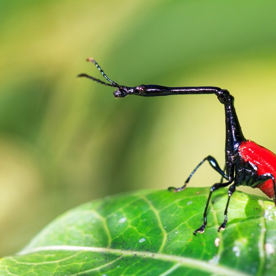 Madagaskar je rájem pro fotografy 
