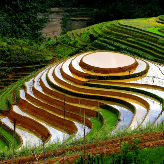 Terasovitá rýžová pole Benaue na Filipínách 