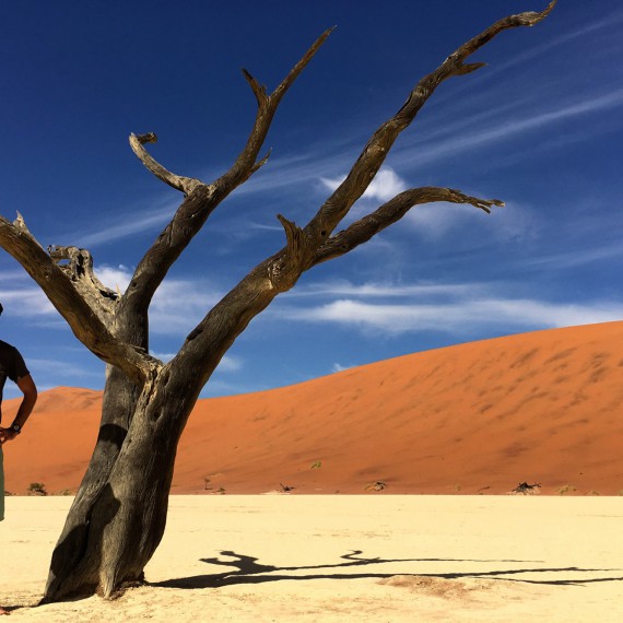 Mrtvé akácie v Deadvlei
