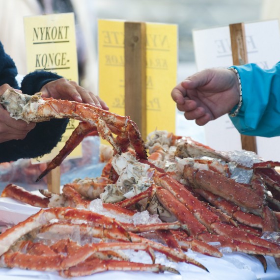 Delikatesy za polárním kruhem