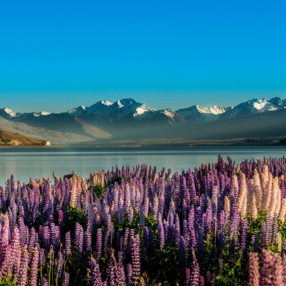 Magická příroda zde hraje všemi barvami