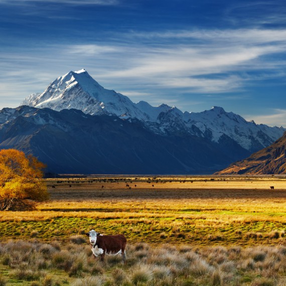 Krásy Nového Zélandu 