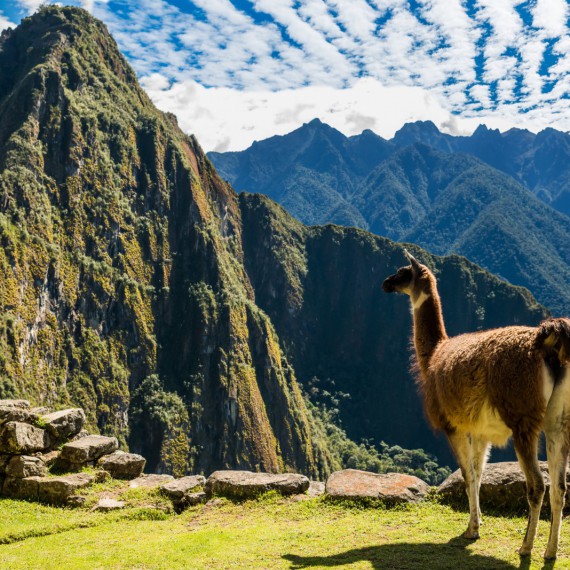 Machu Picchu se právem řadí mezi 7 novodobých divů světa