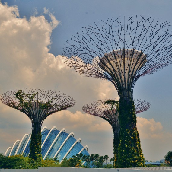 Superstromy v singapurských zahradách