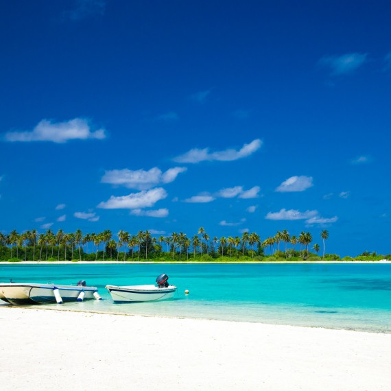 Bohatý podmořský život Malediv vás ohormí