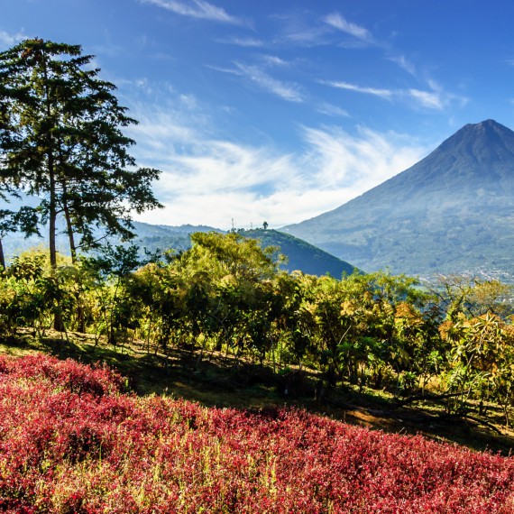 Sopečná krajina Střední Ameriky 