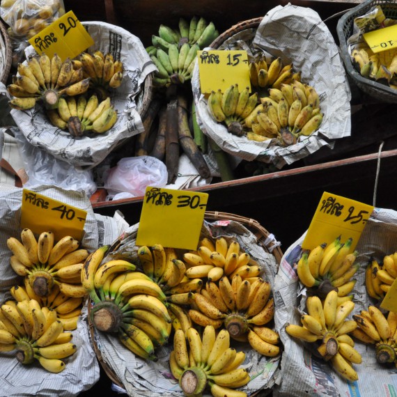 V Thajsku můžete ochutnat různé druhy banánů. 