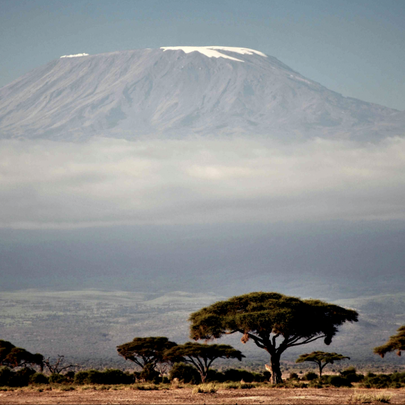 Vrchol hory Kilimandžáro 