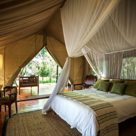 Dokonalé africké služby 