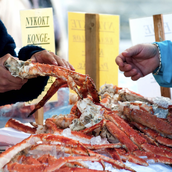 Chutné maso norského kraba