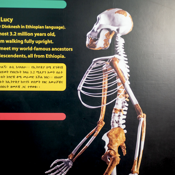 S CK SEN se dozvíte odkud vlastně pocházíte