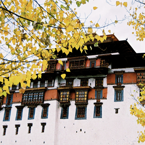 Punakha - místo zrodu nezávislého Bhútánu