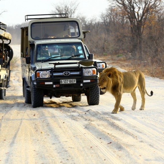 Africké safari na džipu 