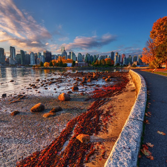 Toronto vybízí k procházkám