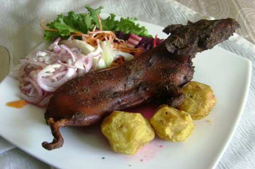 Typická lahůdka - peruánské morče