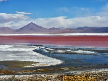 Jižní Amerika, Bolívie, Altiplano
