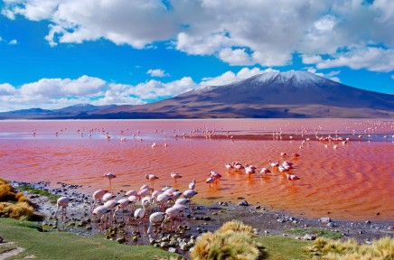 bolivijské Altiplano