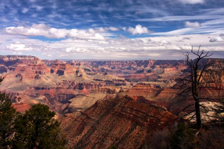 Grand canyon v USA