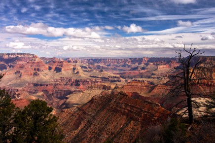 Grand canyon v USA