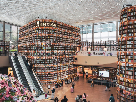 Chcete-li být na Instagramu někdo, tak musíte mít fotku či video z knihovny Starfield library.