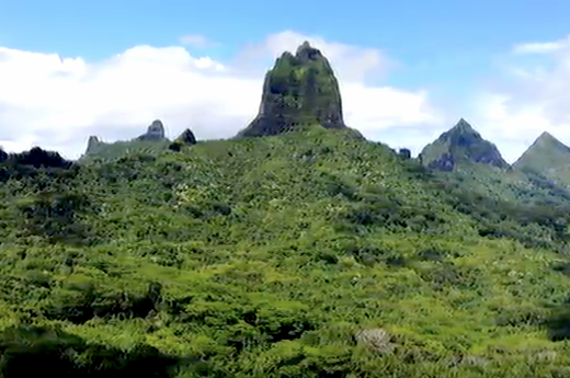 Nádherná tropická příroda na ostrově Moorea 